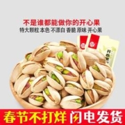 每果时光 原色开心果250g新货盐焗年货原味坚果仁零食