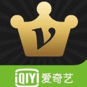 iQIYI 爱奇艺 黄金VIP会员 2年卡（自享1年送亲友1年）