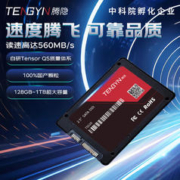 TENGYIN 腾隐 TS510 SATA 固态硬盘 2TB（SATA3.0）