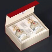 五粮液仙林生态出品，华彩人生 52度白酒大师名作礼盒 500mL*2瓶