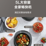 苏泊尔（SUPOR） 电压力锅家用 触控操作智能预约压力锅 5升双球釜内胆高压锅电饭煲 适用4-8人 SY-50FC8012Q