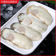 北惠 生蚝肉现剥鲜活生蚝去壳4斤盒装新鲜冻大海蛎牡蛎10水产顺丰冷链