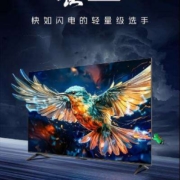 再降价、需凑单：FALCON 雷鸟 雀5SE 32F175C 液晶电视 32英寸