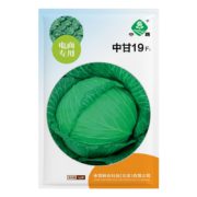 京农研 中蔬中甘19甘蓝 1克