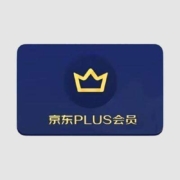 京东 PLUS年卡 12个月