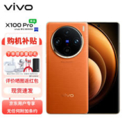 vivo X100 Pro 12GB+256GB 落日橙 蔡司APO超级