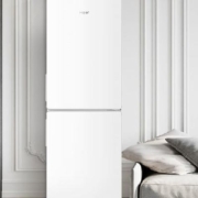 京东百亿补贴：Haier 海尔 170升两门小型家用电冰箱 BCD-170WLHC2Z0WV