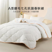BLISS 百丽丝 七孔透气抗菌冬被 春秋被 150cm×210cm