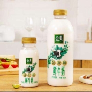 概率券、需礼金、PLUS会员：伊利 金典 鲜牛奶 780ml*1瓶 买一送一
