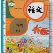 Mandik 粘书皮中号10张送姓名贴