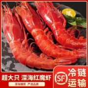 食界君 刺身红魔虾 7-9/盒 500g 顺丰冷链