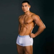 Asianbum 40S精梳长绒棉男士平角内裤 *5件 多色