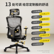 支家 1606 人体工学椅电脑椅子老板椅家用办公椅可躺学习椅电竞升降椅 实惠/黑框黑网（海绵坐垫）