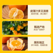 喵满分 广西沃柑年货礼盒