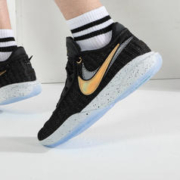 NIKE 耐克 LEBRON 20詹姆斯20男子实战篮球鞋实战DJ5422-003