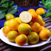 plus会员：水果蔬菜 融安脆皮金桔 5斤装（单果12-20g）