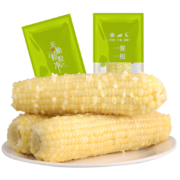 PLUS会员：天勤粒粒净 有机小香糯玉米 8支*180g*2件