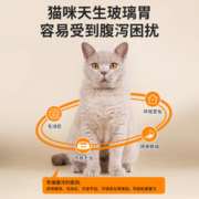 ergobaby 猫咪专用益生菌狗狗肠胃调理助消化软便呕吐拉稀宠物10袋