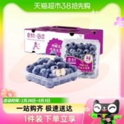 JOYVIO 佳沃 云南蓝莓125g/盒*6盒