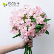 花点时间 六出花鲜花水仙百合六初花云南基地直发水养插瓶