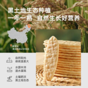宝宝馋了 米饼婴儿无添加宝宝零食儿童磨牙饼干