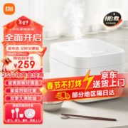 MIJIA 米家 快煮电饭煲烈焰灶釜玻璃4L