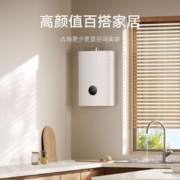 MIJIA 米家 JSQ30-MJ03 零冷水燃气热水器 16L N1