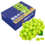 壹棵弘芯 阳光玫瑰葡萄 精选尝鲜简装 700g 现摘现发