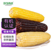 珍谷诱惑 23年新玉米 有机糯玉米200g/根 有机玉米混装10支(4黄3黑3白)