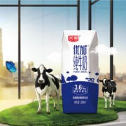 88VIP会员：Bright 光明 优加 3.6g乳蛋白 纯牛奶