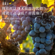 宁夏红 13度鹿王葡萄酒赤霞珠干红 750ml