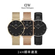 情人节好礼 DW手表男女玫瑰金简约腕表