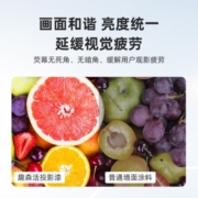 三棵树漆（SKSHU） 投影漆幕布漆抗光专业高清幕布墙面漆 0.9L