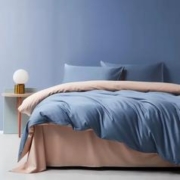 京东PLUS：AIDLI 长绒棉四件套 200*230cm 床单款