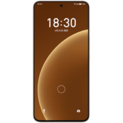 MEIZU 魅族 20 Pro 5G手机 12GB+256GB 朝阳金 第二代骁龙8