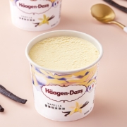 京东百亿补贴:哈根达斯（Haagen-Dazs）经典香草口味大桶冰淇淋473ml 家庭装
