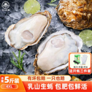 乳山牡蛎 鲜活乳山生蚝（带官方溯源防伪标识、死蚝包赔）4XL净重2.5kg（另有5kg的更划算）