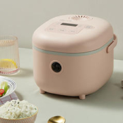Bear 小熊 DFB-B20A1 电饭煲