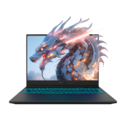 MECHREVO 机械革命 蛟龙16S 16英寸游戏本（R7-8845H、16GB、512GB、RTX 4060）