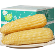 农交会金奖，禾久 非转基因鲜食白糯玉米 260g*8根