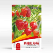 花沃里  奶油红草莓种子1000粒
