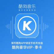酷狗音乐豪华VIP会员季卡 3个月