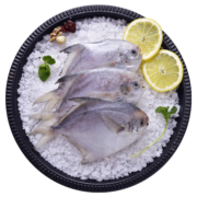 GUO LIAN国联 东海白鲳鱼 银鲳鱼 600g 5-8条  国产深海鱼产地直供 冰冻