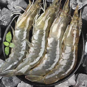 XYXT 虾有虾途 盐冻大虾 17-19厘米 4斤