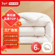 京东京造 100%天然新疆棉花被 冬季厚被6斤1.5*2m