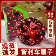 JOYVIO 佳沃 智利车厘子5斤J2J3J级当季新鲜水果整箱礼盒装