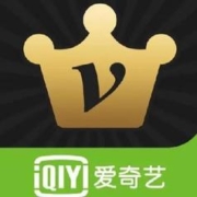 爱奇艺 黄金VIP会员年卡 2年