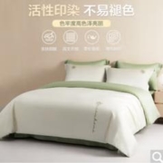 家装季：BEYOND 博洋 蔷薇弥香-绿 长绒棉四件套 220*240cm