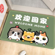 欧巢 地垫入户门脚垫 店内随机 1个装 50*80cm