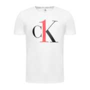 Calvin Klein CK男士T恤 短袖时尚经典夏装 NM1903E 7UM白色 L